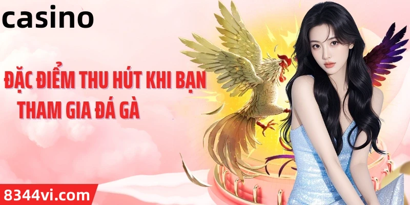 Hình ảnh quảng cáo của dada hiển thị nền tảng và các lợi ích